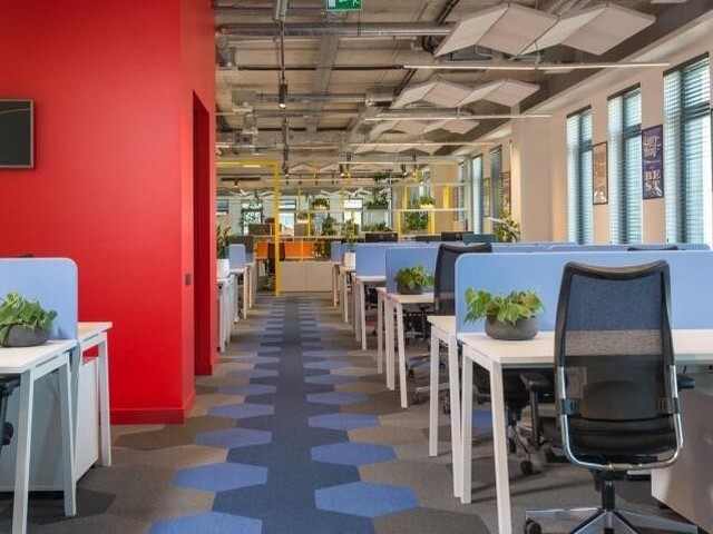 河北奶糕猫粮制造商